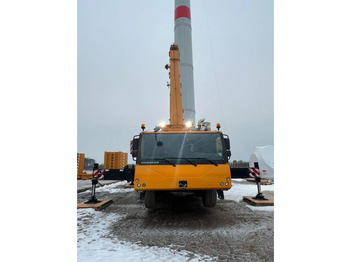 رافعة لجميع التضاريس LIEBHERR