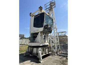 : صورة رأس الصفحة