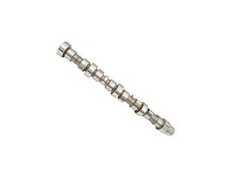 : صورة رأس الصفحة