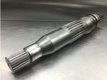 : صورة رأس الصفحة