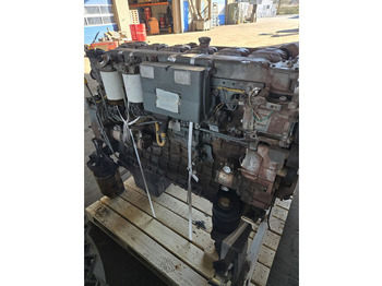 : صورة رأس الصفحة