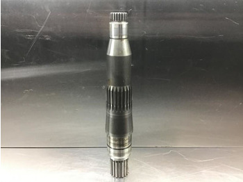 : صورة رأس الصفحة