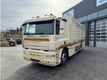 شاحنة ماشية DAF CF 410