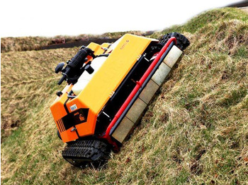 : صورة رأس الصفحة