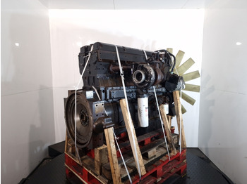 : صورة رأس الصفحة