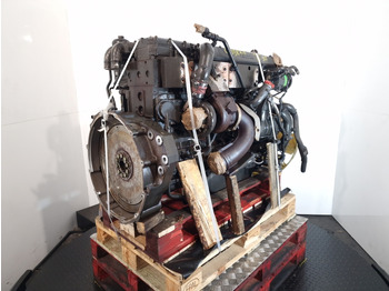 : صورة رأس الصفحة