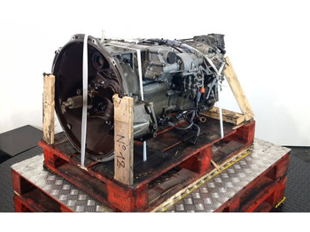 : صورة رأس الصفحة