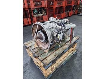 : صورة رأس الصفحة