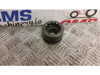 : صورة رأس الصفحة