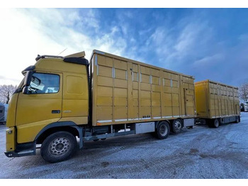 شاحنة ماشية VOLVO FH 420