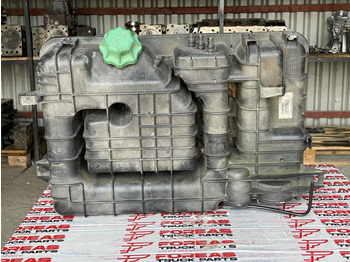 : صورة رأس الصفحة