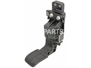 : صورة رأس الصفحة