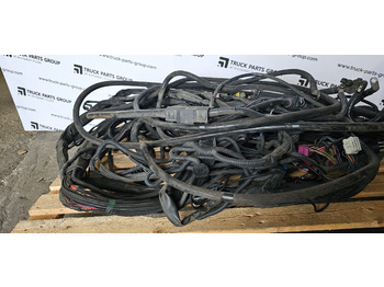 : صورة رأس الصفحة