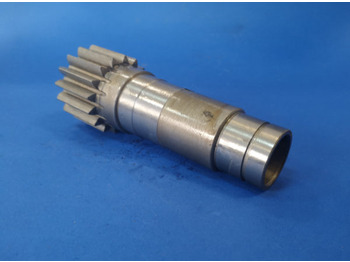 : صورة رأس الصفحة