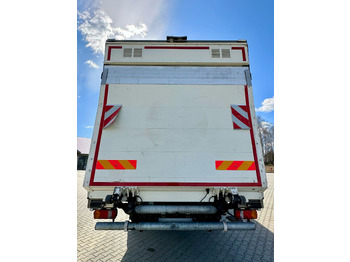 شاحنة ذات مبرد MAN TGX 18.360 / CHŁODNIA / WINDA / AUTOMAT / 19 EUROPALET / THERMO KING / SYPIALKA / SPROWADZONY: صورة 5