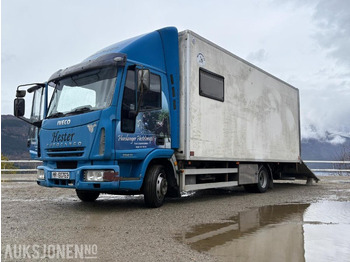 شاحنة ماشية IVECO EuroCargo