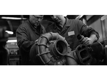 : صورة رأس الصفحة