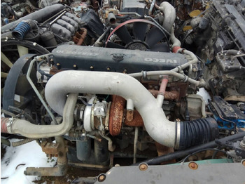 : صورة رأس الصفحة