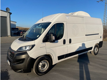 شاحنة توصيل مبردة Fiat Ducato Maxi 160 Kühlkastenwagen/Isberg/-30°/AC: صورة 3