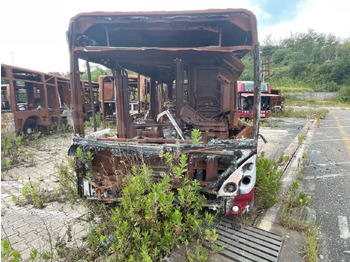 حافلة المدينة IVECO