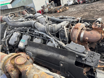 : صورة رأس الصفحة