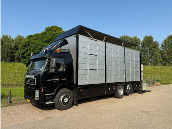 شاحنة ماشية VOLVO FM 300