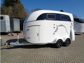 : صورة رأس الصفحة