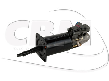 : صورة رأس الصفحة