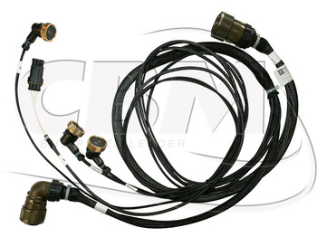 : صورة رأس الصفحة