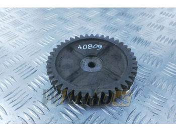 : صورة رأس الصفحة