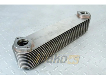 : صورة رأس الصفحة