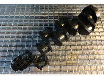 : صورة رأس الصفحة