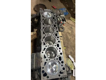 : صورة رأس الصفحة