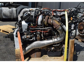 : صورة رأس الصفحة