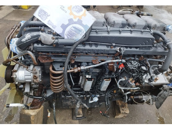 : صورة رأس الصفحة