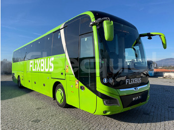 حافلة نقل لمسافات طويلة MAN Lion's Coach