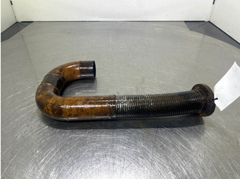 : صورة رأس الصفحة