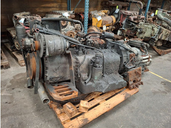 : صورة رأس الصفحة