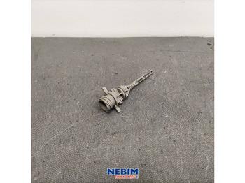 : صورة رأس الصفحة