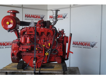 : صورة رأس الصفحة