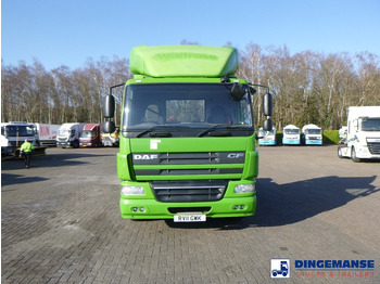 مقطورة السحب DAF CF 75.310 4x2 RHD: صورة 5