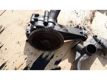 : صورة رأس الصفحة