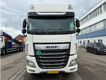 تأجير DAF XF 480 6X2 + 2 AXLE HANGER + TRS COOLING + DHOLLANDIA LIFT (2x) DAF XF 480 6X2 + 2 AXLE HANGER + TRS COOLING + DHOLLANDIA LIFT (2x): صورة 2 تأجير DAF XF 480 6X2 + 2 AXLE HANGER + TRS COOLING + DHOLLANDIA LIFT (2x) DAF XF 480 6X2 + 2 AXLE HANGER + TRS COOLING + DHOLLANDIA LIFT (2x): صورة 2