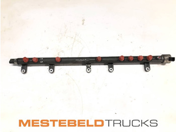 : صورة رأس الصفحة