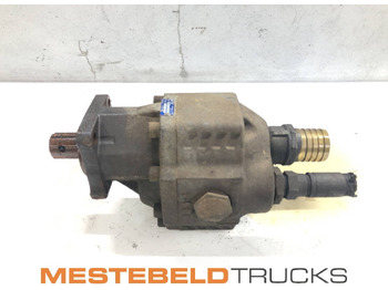 : صورة رأس الصفحة