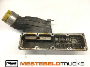 : صورة رأس الصفحة