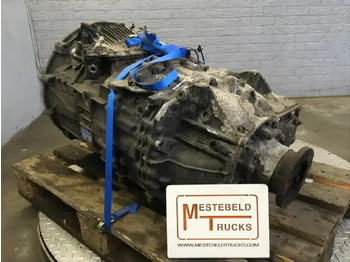 : صورة رأس الصفحة