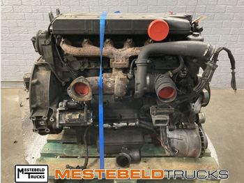 : صورة رأس الصفحة