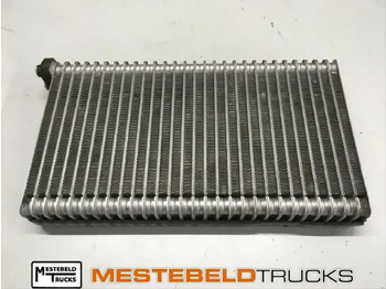 : صورة رأس الصفحة