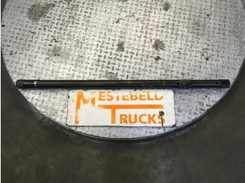 : صورة رأس الصفحة